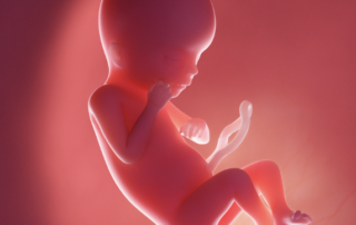 Understanding Oligohydramnios: The Crucial Role of Nutrition and Blood Volume in Pregnancy