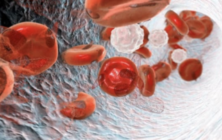 anemia in pregnancy
